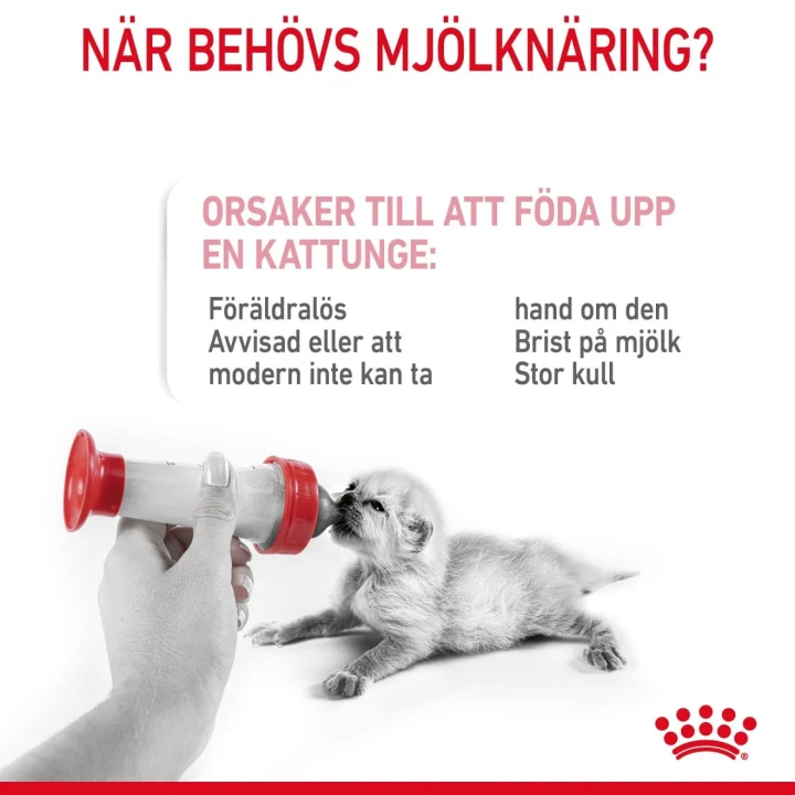 Royal Canin Babycat Milk 300 g Royal Canin
