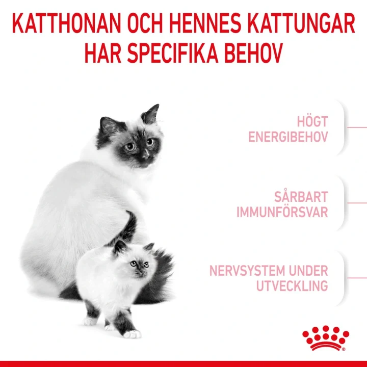 Royal Canin Mother & Babycat 4 kg Royal Canin