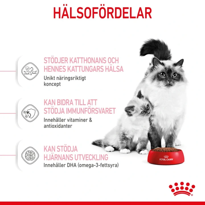 Royal Canin Mother & Babycat 4 kg Royal Canin