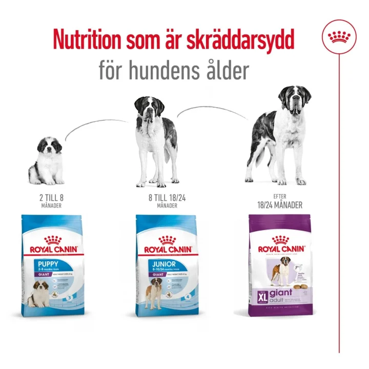 Royal Canin Giant Adult Dog 15 kg Royal Canin