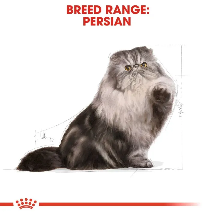 Royal Canin Persian Adult Cat 10 kg Royal Canin