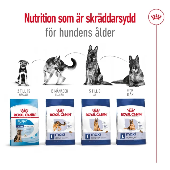 Royal Canin Maxi Adult Dog 5+ 15 kg Royal Canin