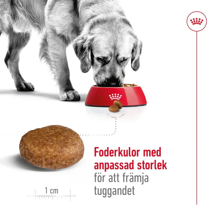 Royal Canin Maxi Adult Dog 5+ 15 kg Royal Canin