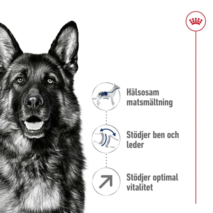 Royal Canin Maxi Adult Dog 5+ 15 kg Royal Canin