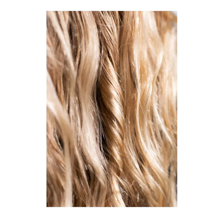 Hair Protecting Oil 30 ml Scandinavian Biolabs