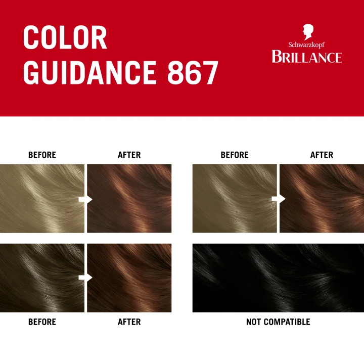 Schwarzkopf Brillance Permanent Intensive Color 867 Autumn Brown Schwarzkopf