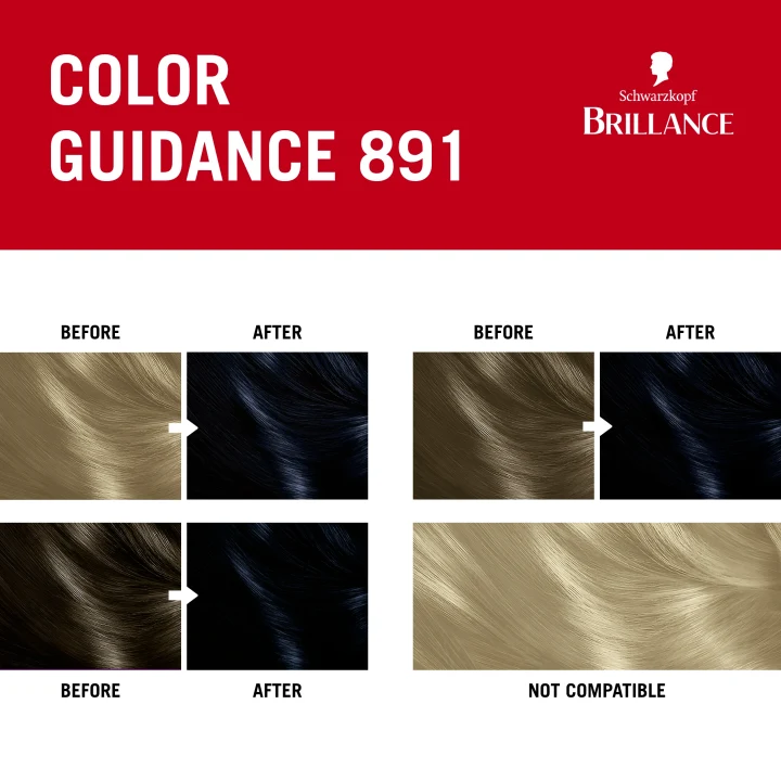 Schwarzkopf Brillance Permanent Intensive Color 891 Blue Black Schwarzkopf