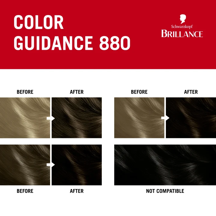 Schwarzkopf Brillance Permanent Intensive Color 880 Dark Brown Schwarzkopf