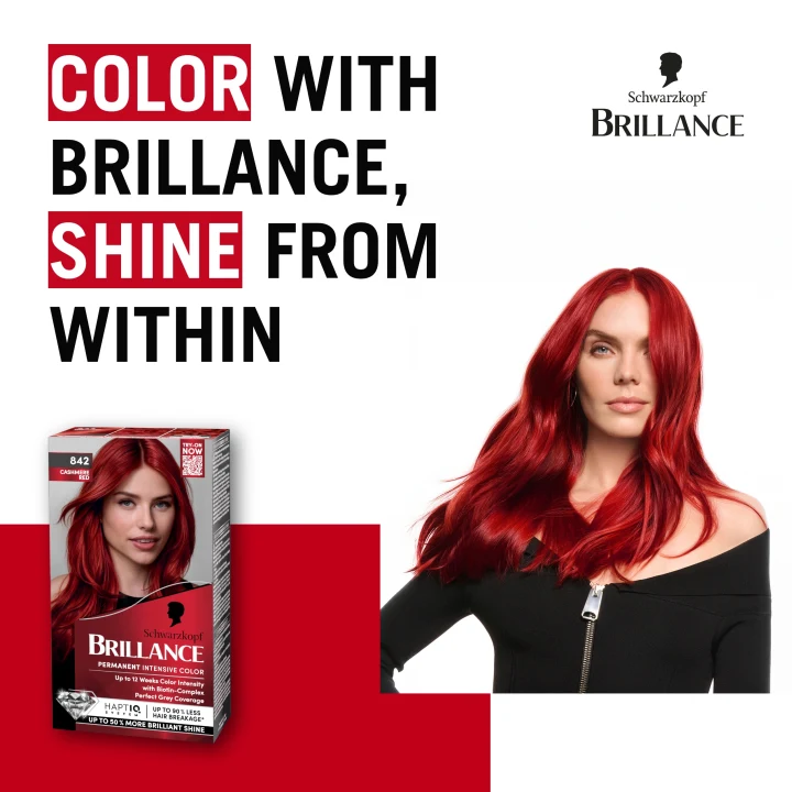 Schwarzkopf Brillance Permanent Intensive Color 842 Cashmere Schwarzkopf