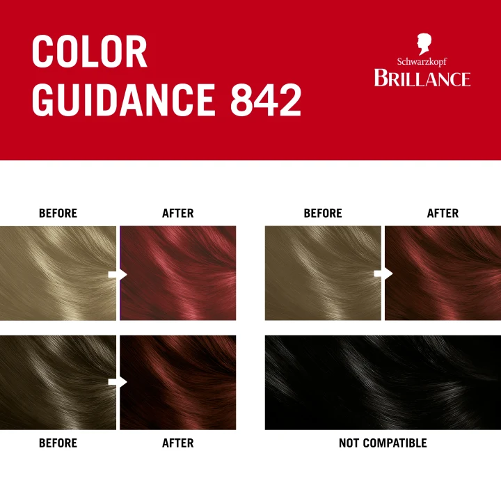 Schwarzkopf Brillance Permanent Intensive Color 842 Cashmere Schwarzkopf