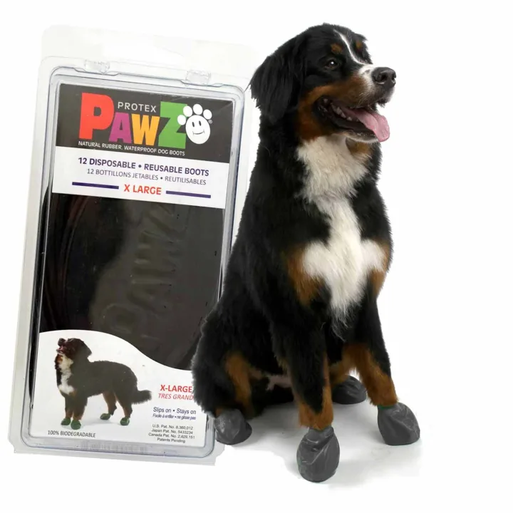 Pawz Dog Boots Black XL Pawz Dog