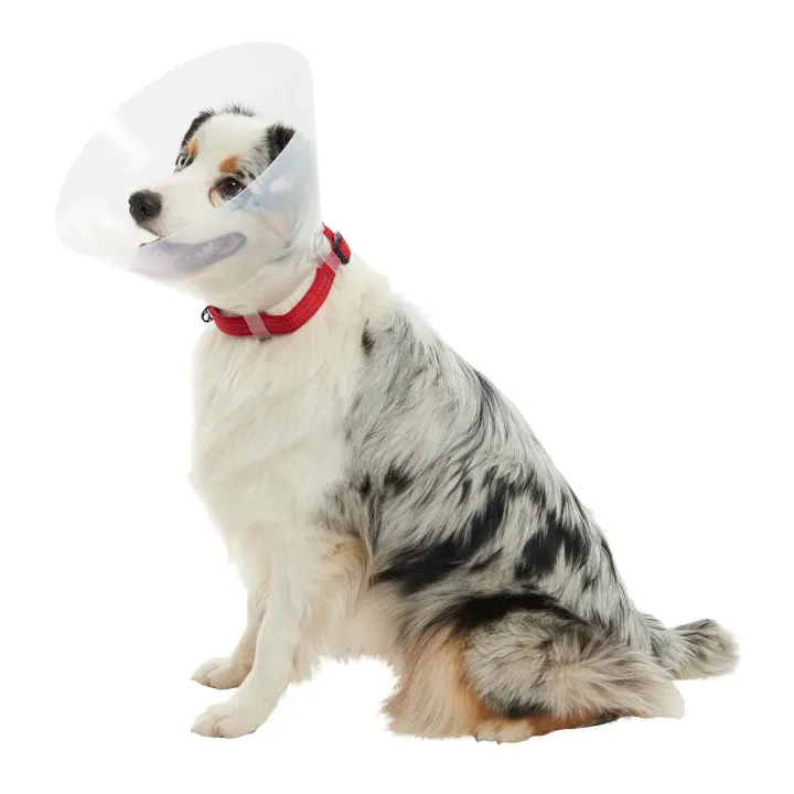 Buster Classic Hundkrage Transparent 12,5cm Buster
