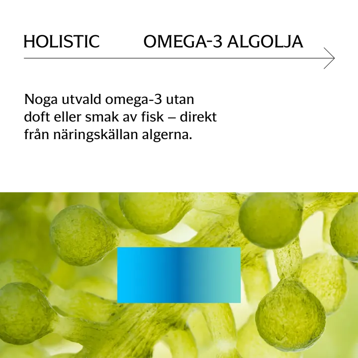 Holistic Omega-3 Vegan Algolja 60 st Holistic