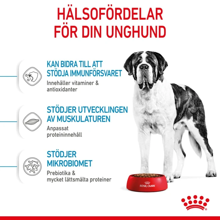 Royal Canin Giant Junior 15 kg Royal Canin