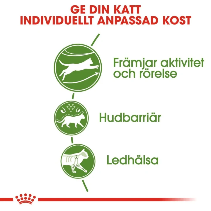 Royal Canin Outdoor 4 kg. Visa bild 4 av 6