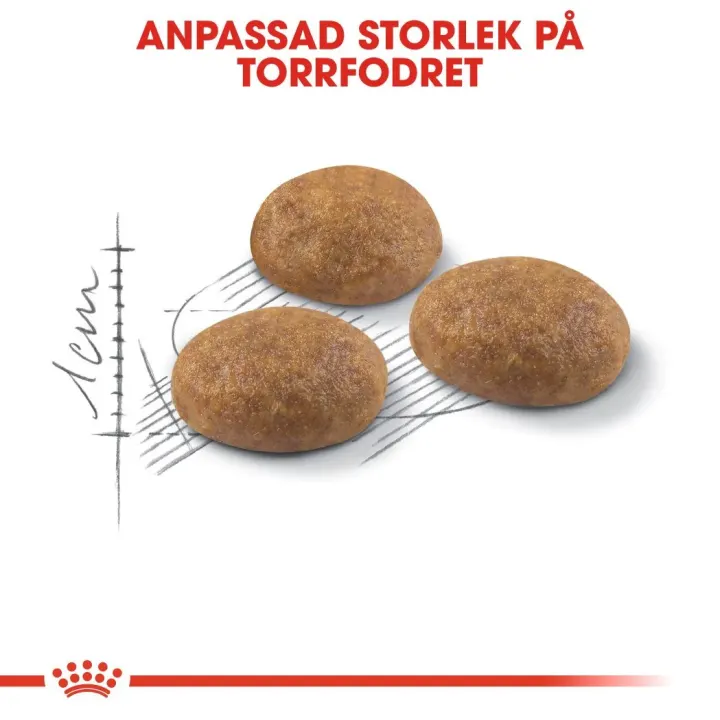 Royal Canin Outdoor 4 kg. Visa bild 5 av 6