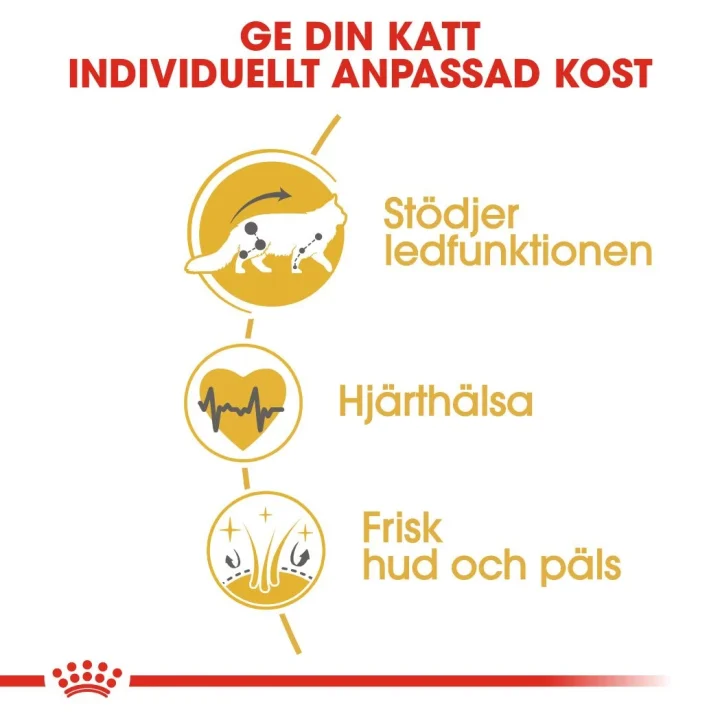 Royal Canin Maine Coon Adult 4 kg. Visa bild 5 av 6