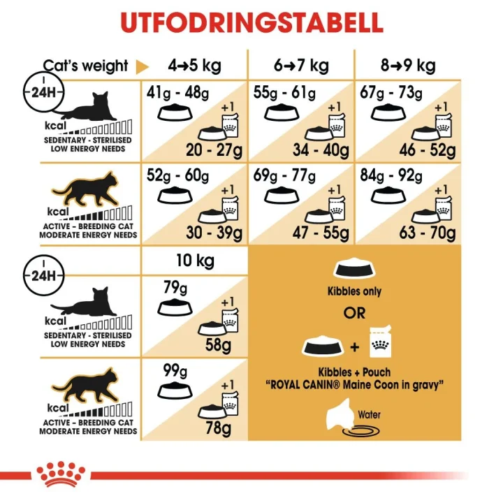 Royal Canin Maine Coon Adult 4 kg. Visa bild 6 av 6