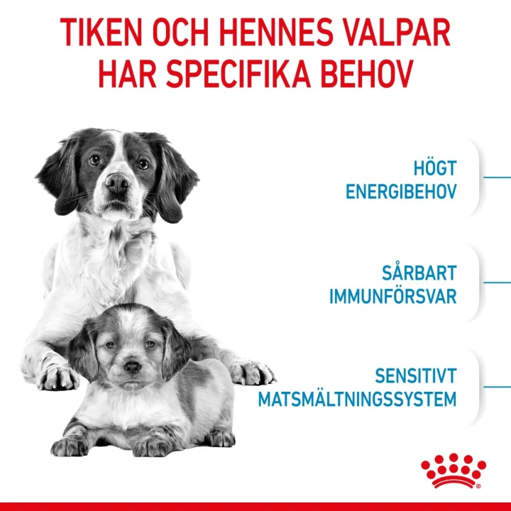 Royal Canin Medium Starter 4 kg Royal Canin
