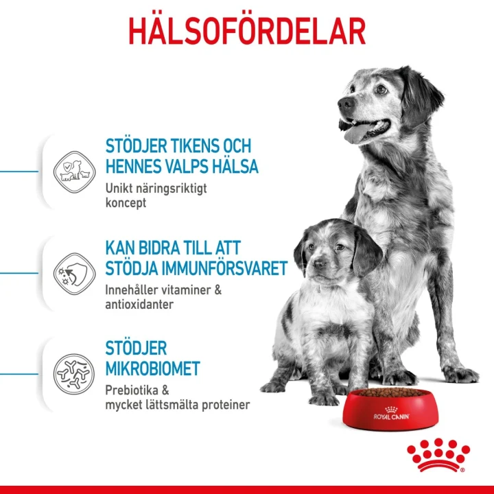 Royal Canin Medium Starter 4 kg Royal Canin
