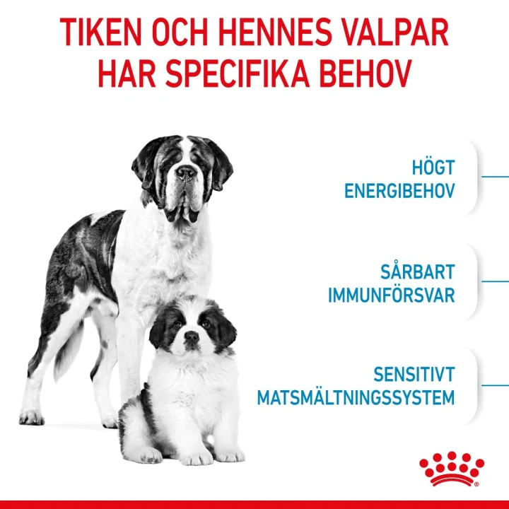 Royal Canin Giant Starter 15 kg Royal Canin