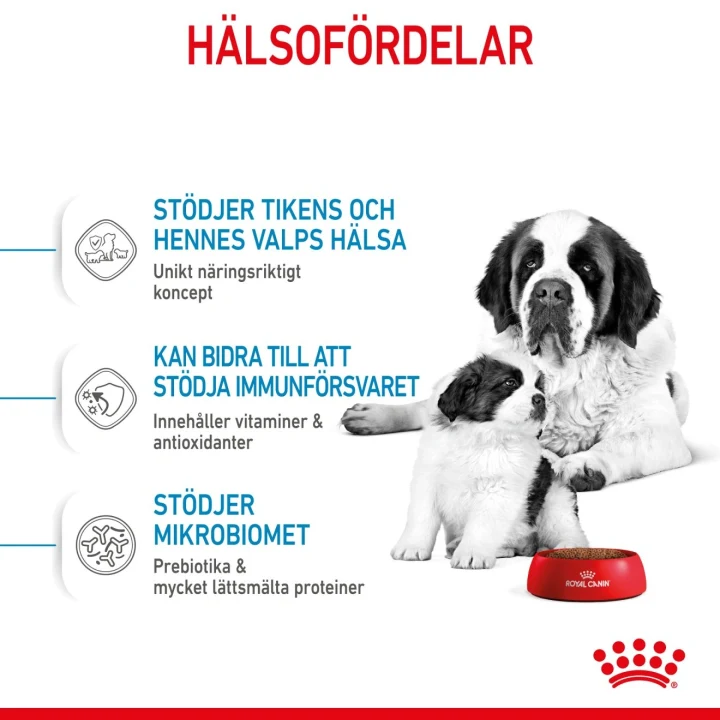Royal Canin Giant Starter 15 kg Royal Canin