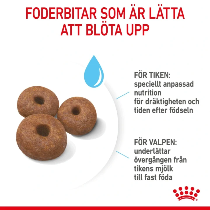 Royal Canin Giant Starter 15 kg Royal Canin