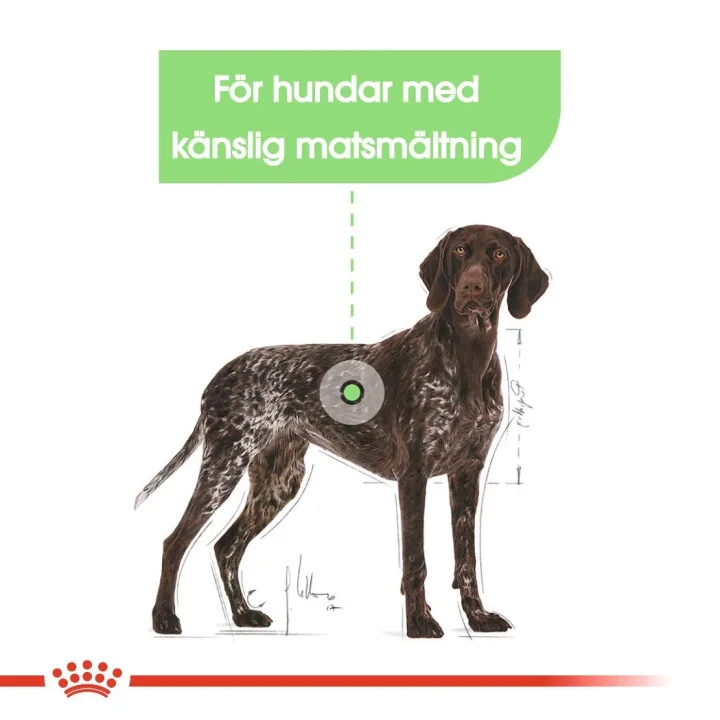Royal Canin Digestive Care Maxi 12 kg Royal Canin