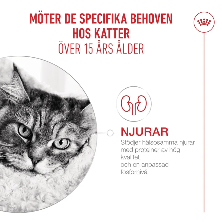 Royal Canin Ageing  15+  4 kg Royal Canin