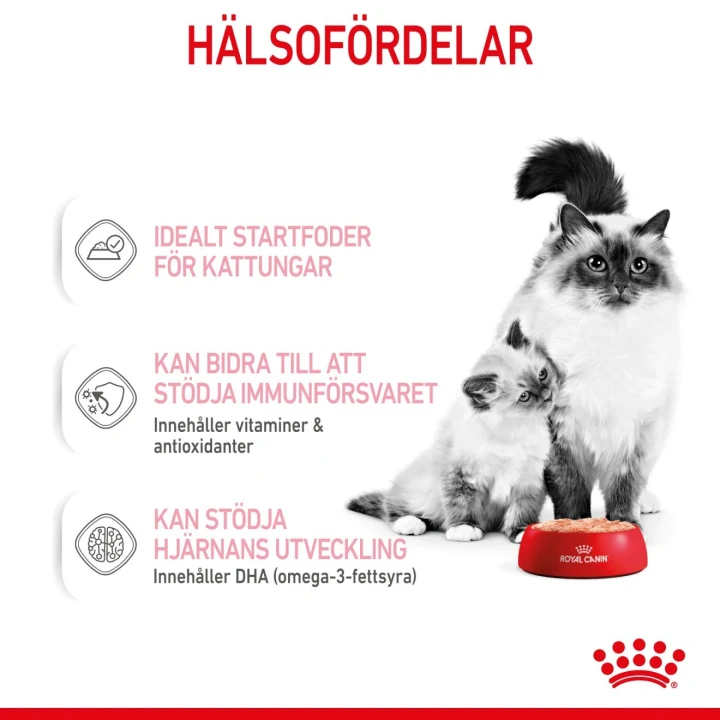 Royal Canin Mother & Babycat Mousse 12x195 g Royal Canin