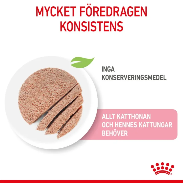 Royal Canin Mother & Babycat Mousse 12x195 g Royal Canin