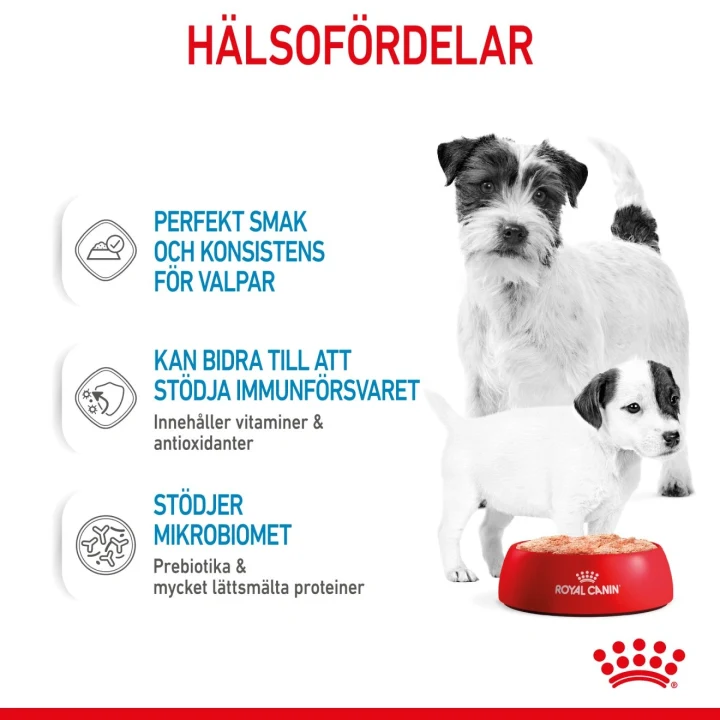 Royal Canin Mother & Babydog Starter Mousse 12x195 g Royal Canin