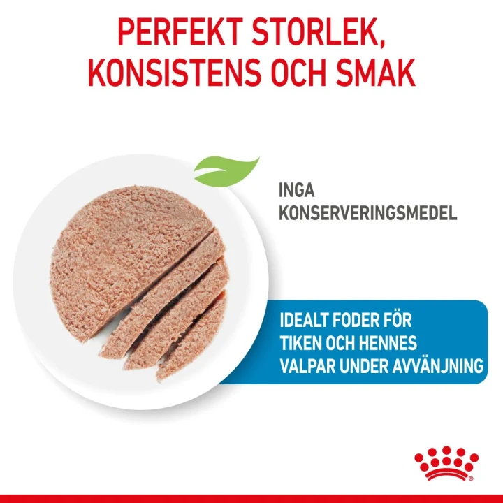 Royal Canin Mother & Babydog Starter Mousse 12x195 g Royal Canin