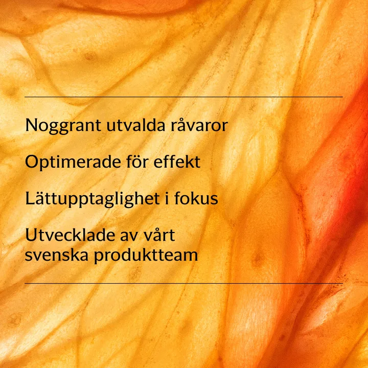 Holistic B12 & Folsyra 90 tabletter. Visa bild 3 av 4