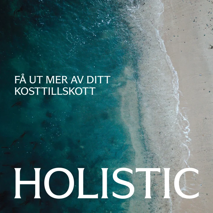 Holistic B12 & Folsyra 90 tabletter. Visa bild 4 av 4