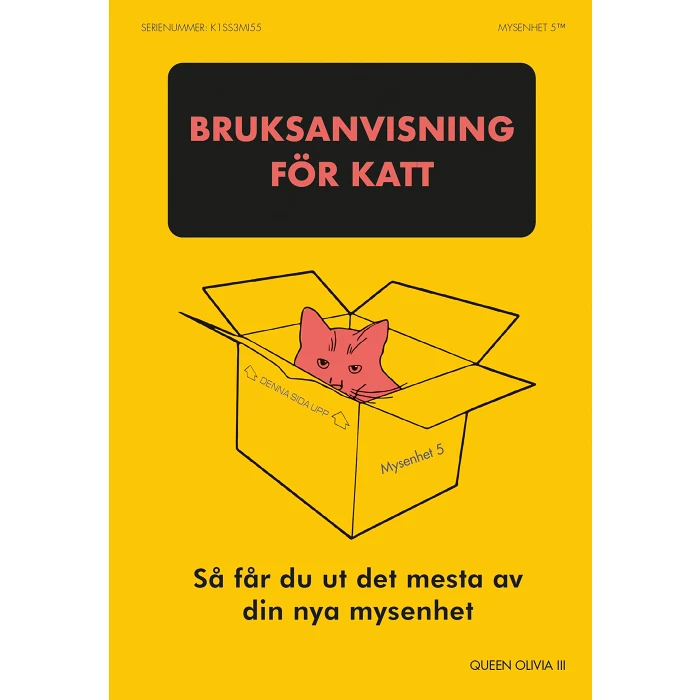 Bruksanvisning för katt : så får du ut det mesta av din nya mysenhet