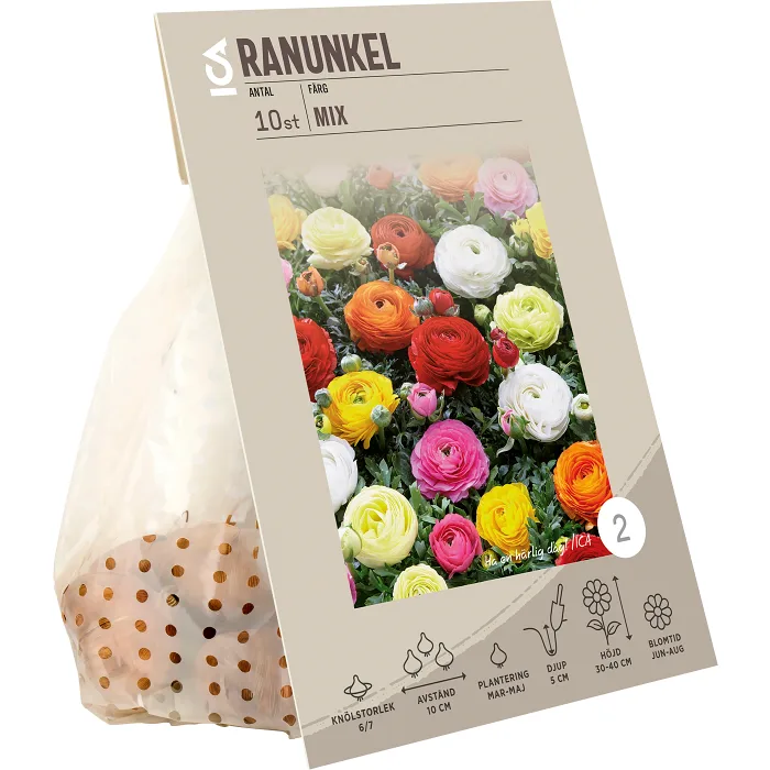 Ranunkel Mix ICA Garden