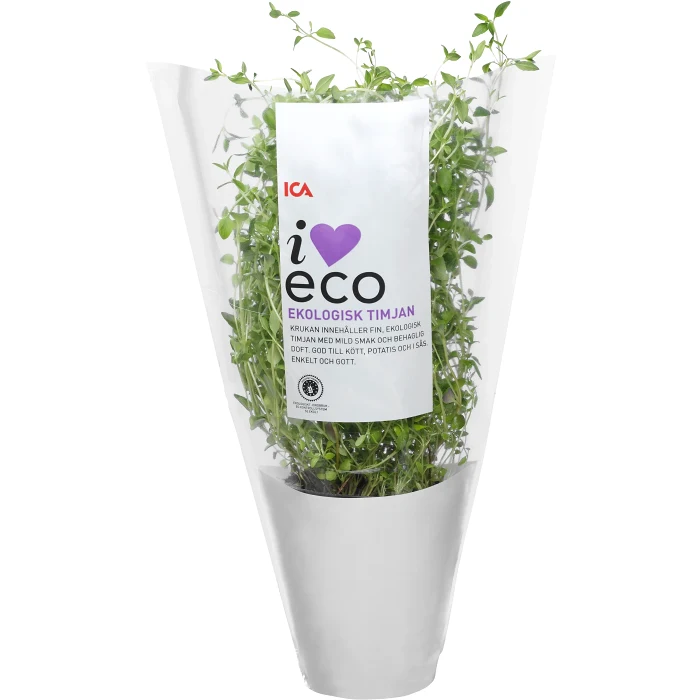 Timjan i kruka Ekologisk 1-p Klass 1 ICA I love eco