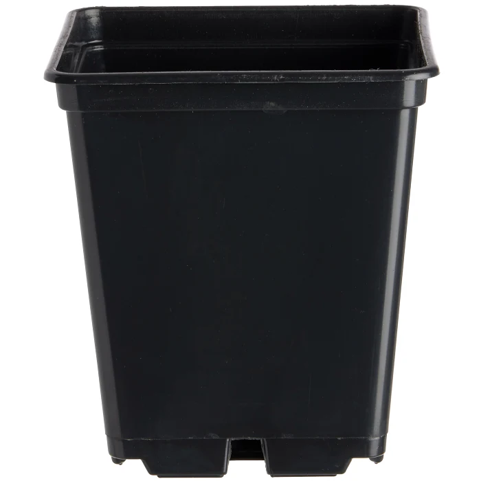 Plastkruka 7x7cm 25p