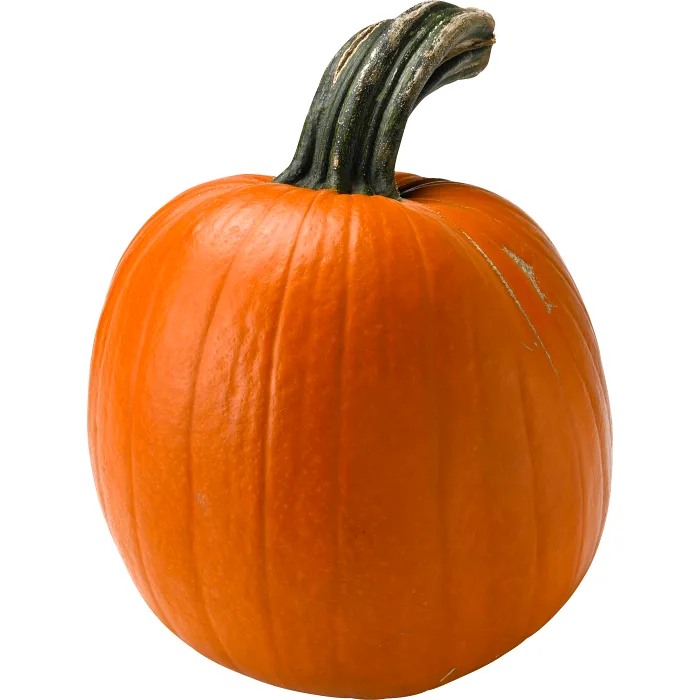 Pumpa 3-8 kg Klass 1 ICA