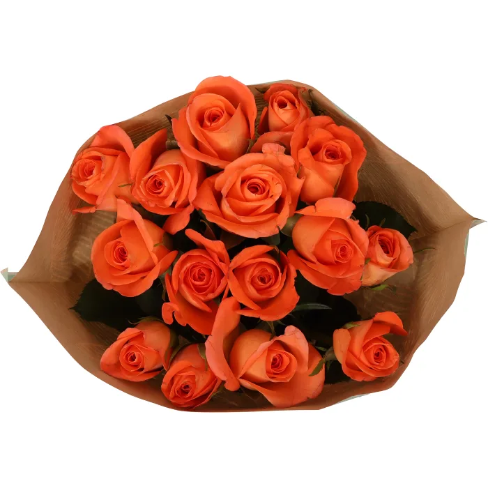 Rosor 15-p 30cm