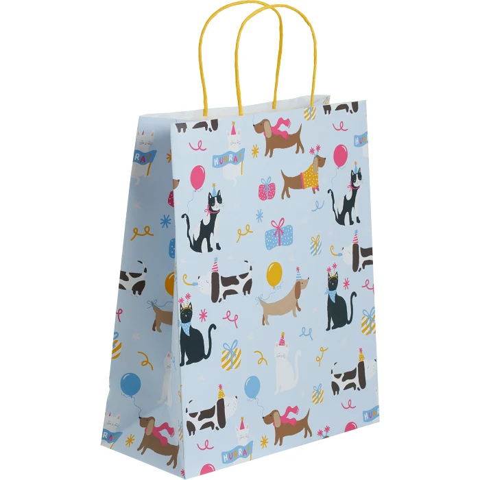 Presentpåse Party Animal 26x31