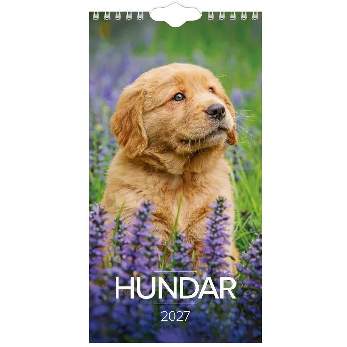 VäggKalender Lilla Hund 2027