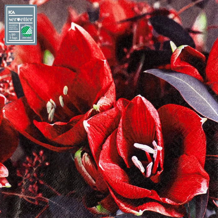 Servett 33 cm Xblomster