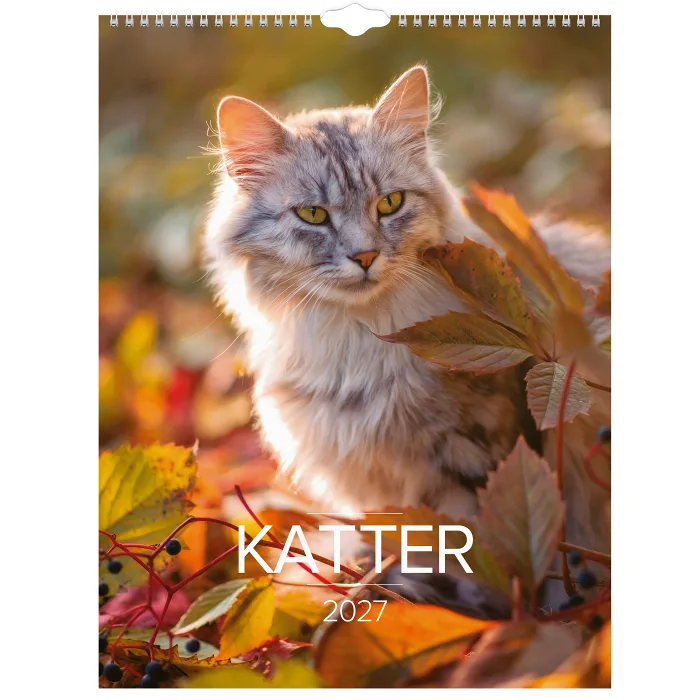 VäggKalender Stora Katt 2027