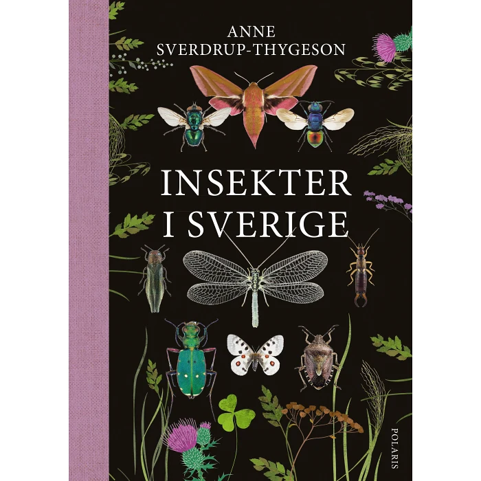 Insekter i Sverige