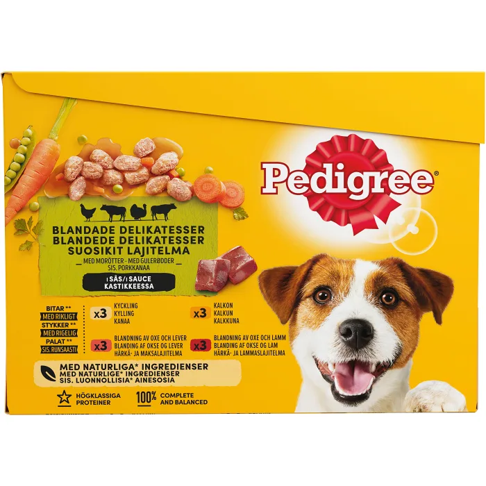 Hundmat Adult i sås 100g 12-p Pedigree