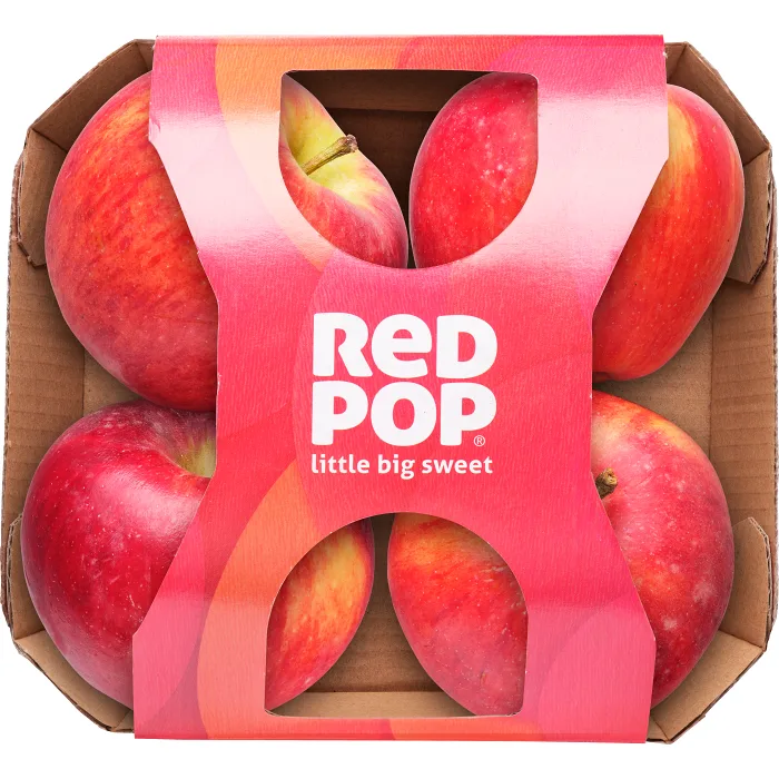 Äpple RedPop 4p Klass 1