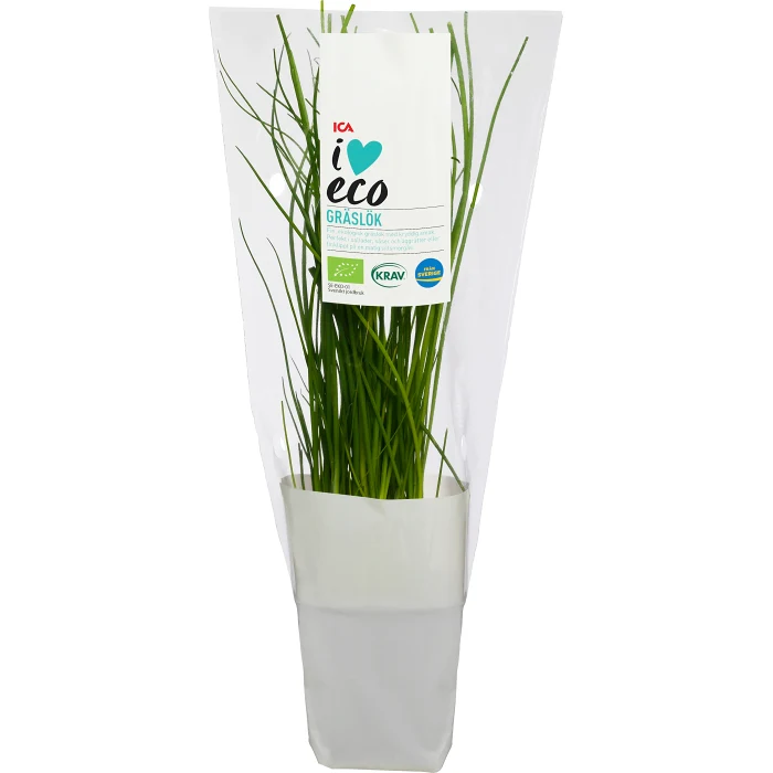 Gräslök i kruka Ekologisk 1-p KRAV Klass 1