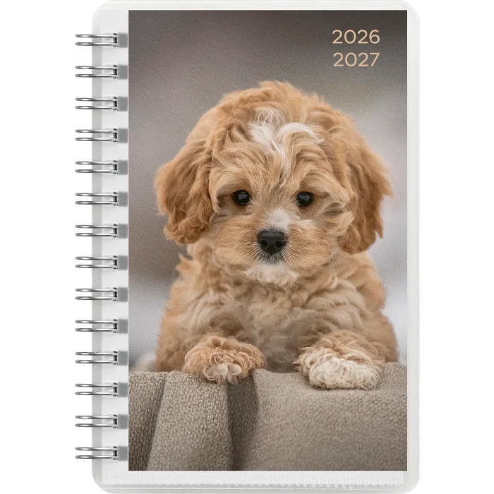 Kalender 26/27 Compact Pets